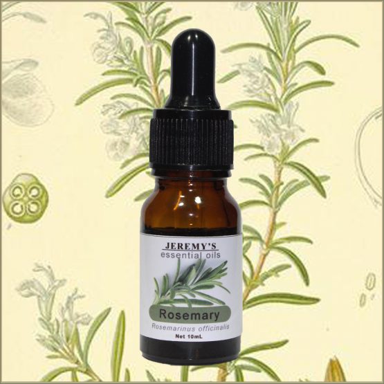 Pure Rosemary Essential Oil - Image 2