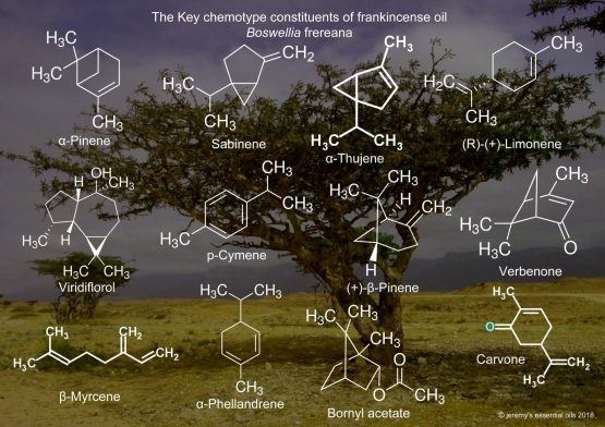 Pure Frankincense Essential Oil - Image 4