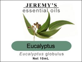 eucalyptus_sm