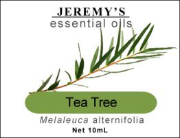 tea_tree_sm