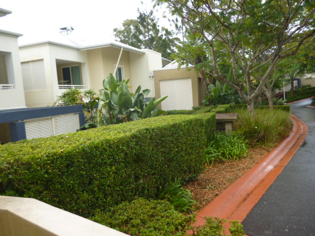 Real Estate | Gold Coast | Chevron Realty | P1080321