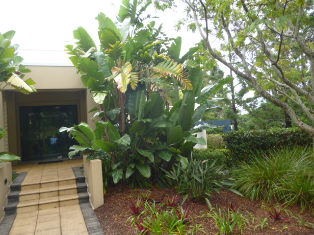 Real Estate | Gold Coast | Chevron Realty | P1080322