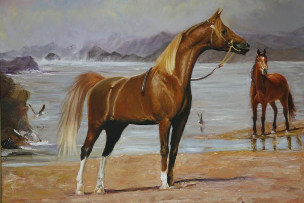 Equine