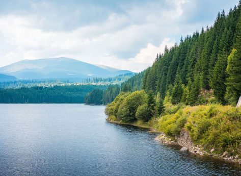 Lake Shore and Forests  Scenery in Romania